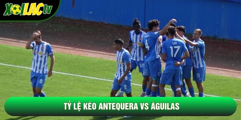 Tỷ lệ kèo Antequera vs Águilas Tỷ lệ kèo Antequera vs Águilas