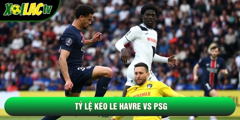 Tỷ lệ kèo Le Havre vs PSG Tỷ lệ kèo Le Havre vs PSG